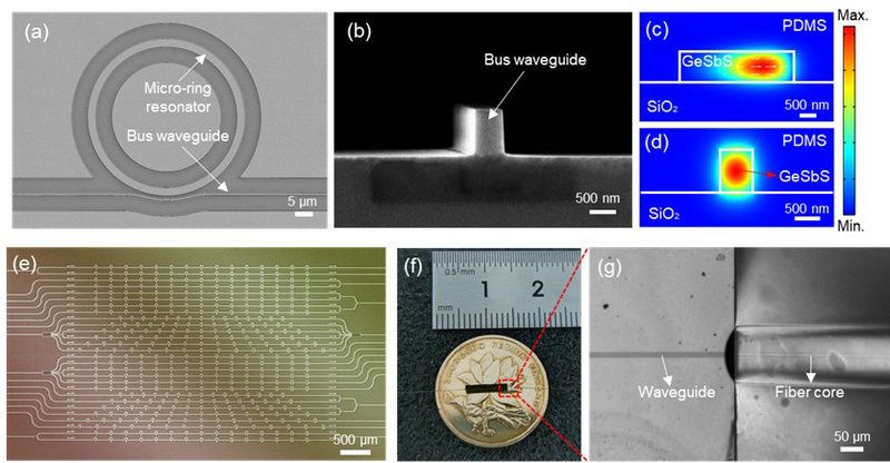 9A751DF335DD55DE11BF9330BE8_1147B2CD_10433