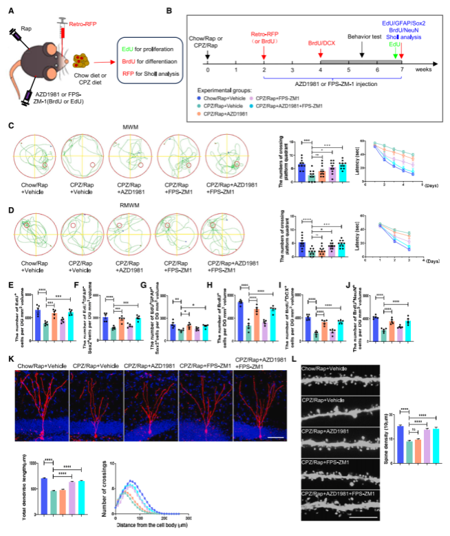 A788A7897CABEFEB6B429F5089E_72A9899A_52BD4