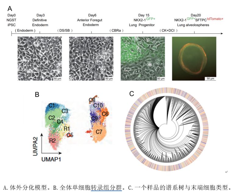 C03201E374EF6C51551E7F2BA85_9109D94D_12D21