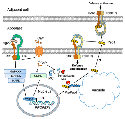 ��ҳ|ng������Ϸ�й����Źٷ���վ