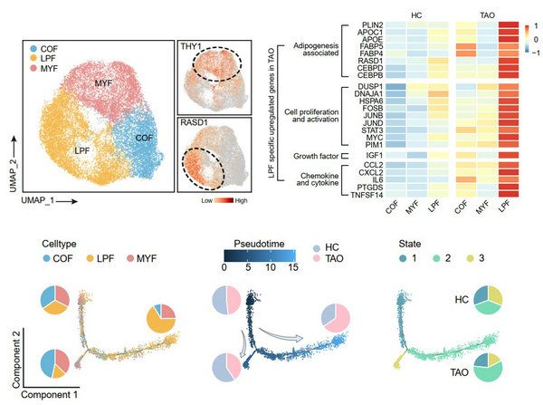 D70E9223035F774737A1C4E0E07_0C879FBD_B3C9 D70E9223035F774737A1C4E0E07_0C879FBD_B3C9
