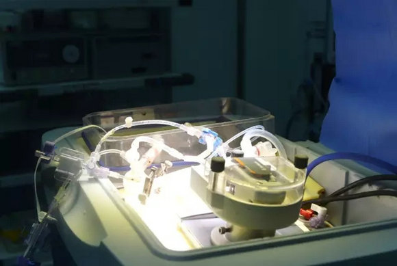 ��ҳ|ng������Ϸ�й����Źٷ���վ