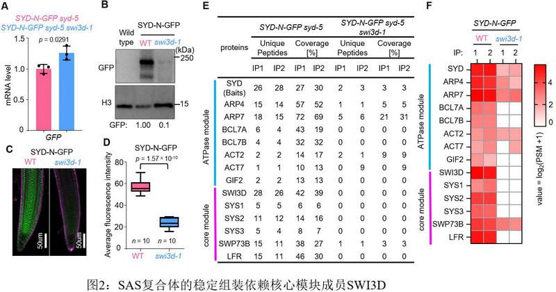 FC9646EFFBB66C49F38819B4936_A11A70E7_11B51 FC9646EFFBB66C49F38819B4936_A11A70E7_11B51