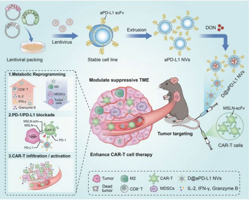 54923D7031C2E5001DD368E8E37_AEEA5E54_1387E