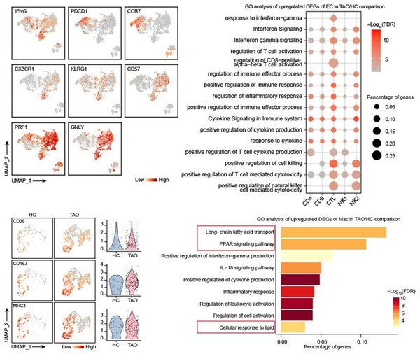 FCEBC86E1E63A95E7F72CBD051F_B64B9A95_11203 FCEBC86E1E63A95E7F72CBD051F_B64B9A95_11203