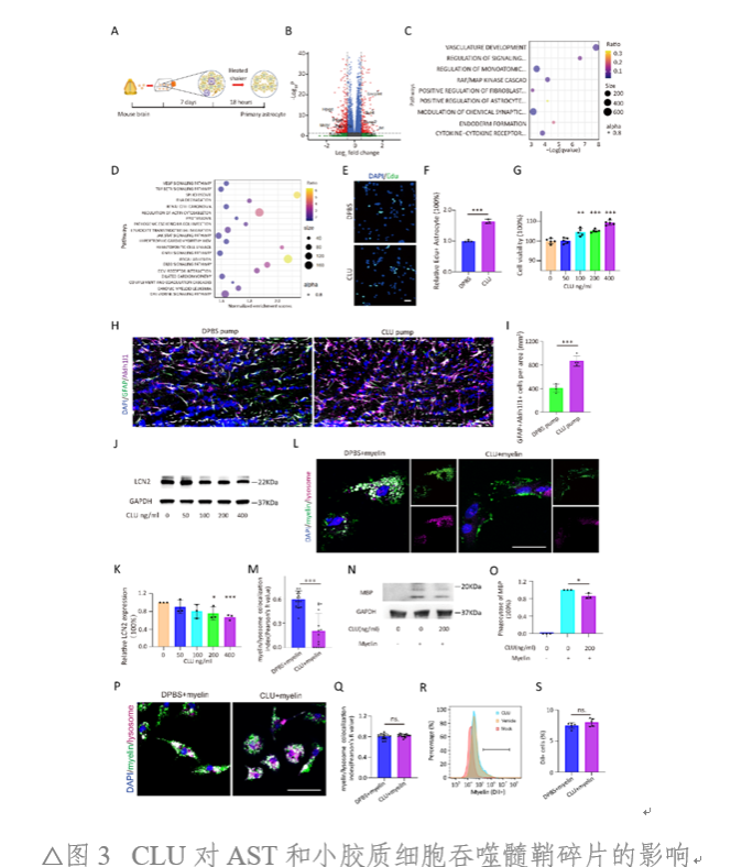 94474B4DF4CEEBADD5DCB488AFC_49E1C219_42997