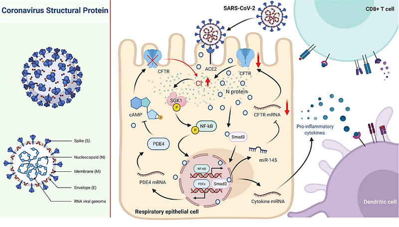 C97F555C344709764EC0B9C4402_E51123FA_4845F C97F555C344709764EC0B9C4402_E51123FA_4845F