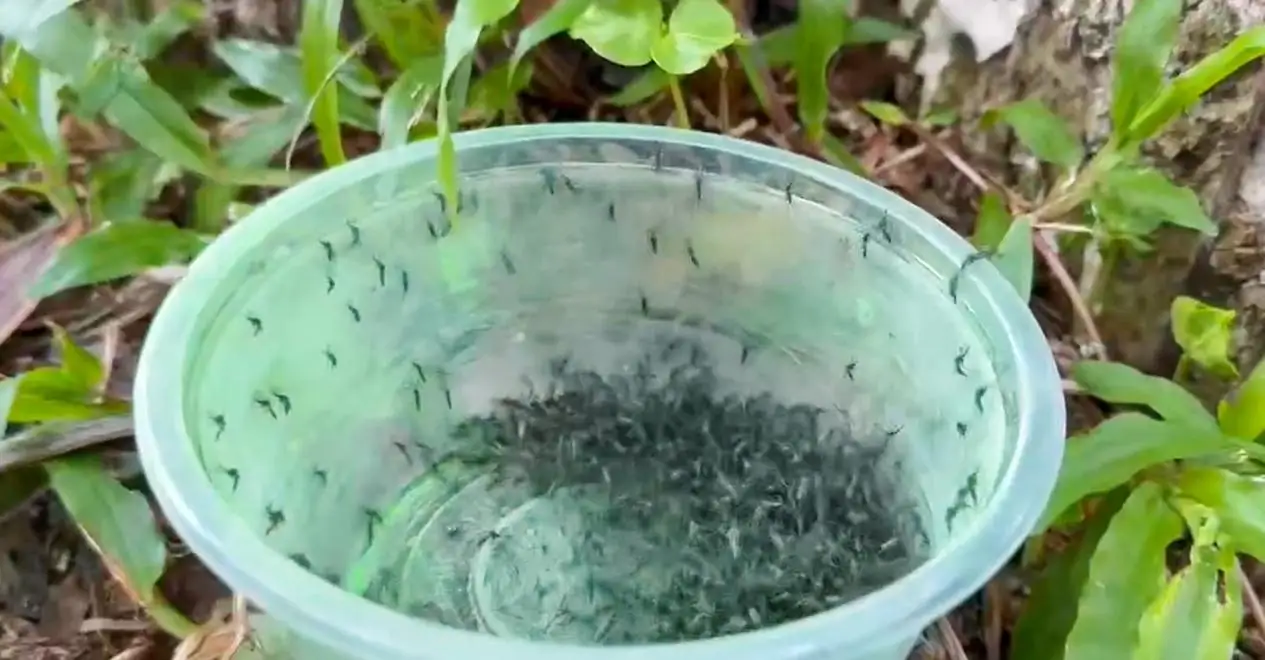 C8C0DB156307745CC0D562048B1_D27B8C7C_BAEA C8C0DB156307745CC0D562048B1_D27B8C7C_BAEA