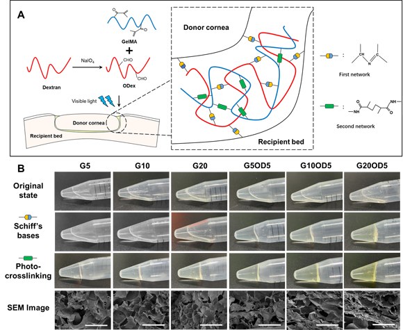 ��ҳ|ng������Ϸ�й����Źٷ���վ