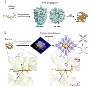 2F3D54978066211B2ABDB7DBA52_66A62C99_62D4 2F3D54978066211B2ABDB7DBA52_66A62C99_62D4
