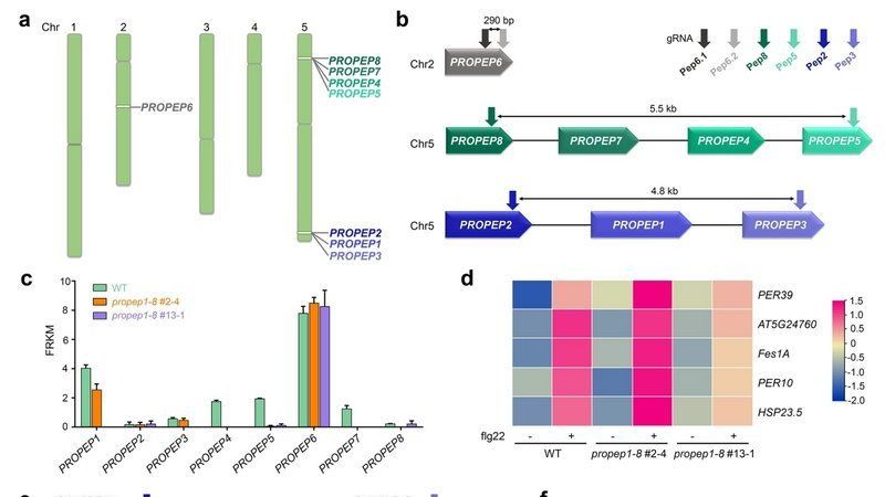 ��ҳ|ng������Ϸ�й����Źٷ���վ