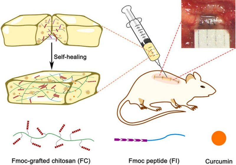 4E109ED18883ABD1EEEA0C5EF9D_4621934F_E104 4E109ED18883ABD1EEEA0C5EF9D_4621934F_E104
