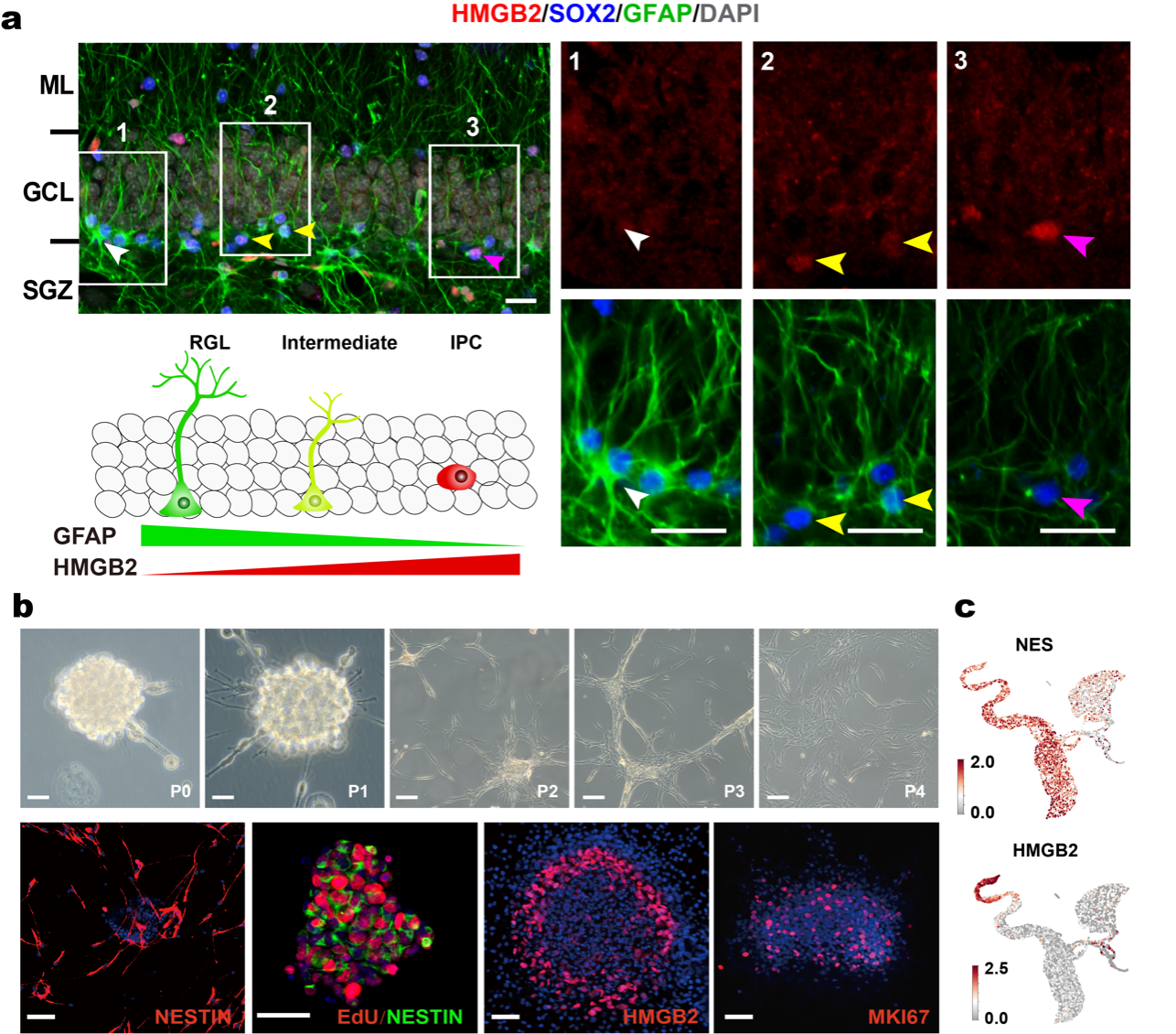 EA73B4F9F79D87E4D9730E85F47_0425F759_19CC15