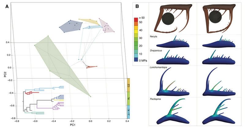 B0DFE102E7FF68A6667C7CE322B_BA59DE45_B088