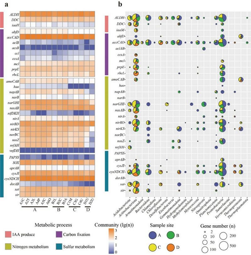 1A8A09B98544B0434A15478483B_9CCA5E90_1F55D