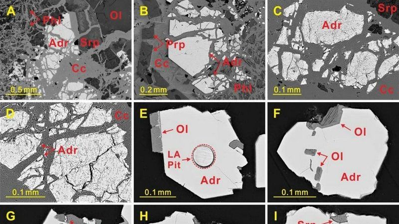 ��ҳ|ng������Ϸ�й����Źٷ���վ