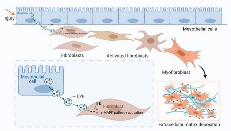 D032AD2A34BD16E6E9C16629C0E_16AF4D3B_ADB1