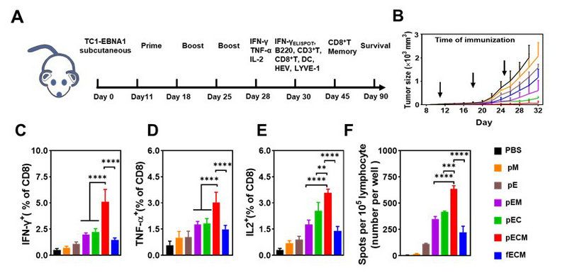 365FC5E8F098BBF4EDD73B1DDC1_D5193717_D1A2