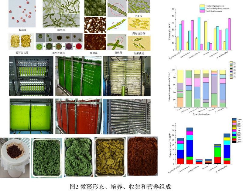 1239A6D7E21EC06BC2746A67614_FC494A2F_1E232