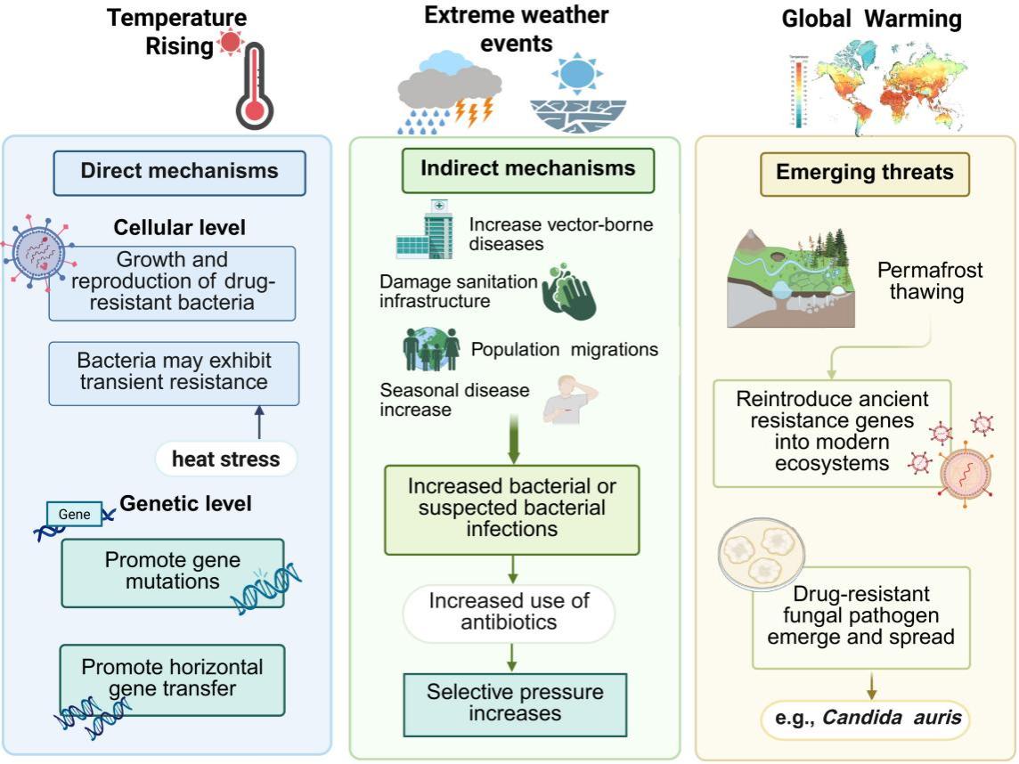 C2D00C04E8208BD1621004F4AD2_030494A0_BA30A