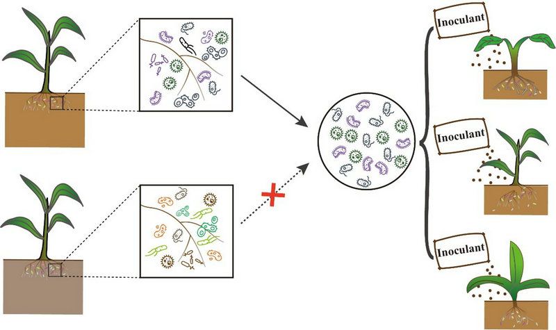 002103E3712BAD636F7DA19935B_27DF5DDF_D52F