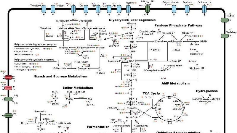 ��ҳ|ng������Ϸ�й����Źٷ���վ