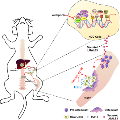 ��ҳ|ng������Ϸ�й����Źٷ���վ
