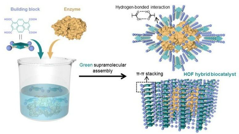 ��ҳ|ng������Ϸ�й����Źٷ���վ