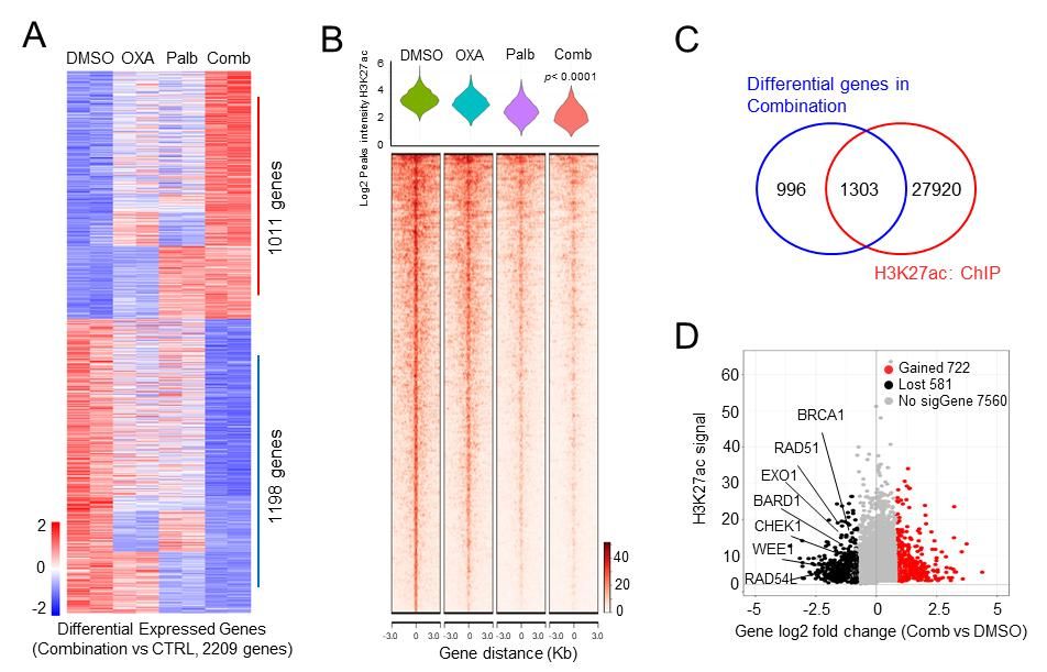 1592EB80D8DEF808B07AAD73B9F_19AB9101_17320
