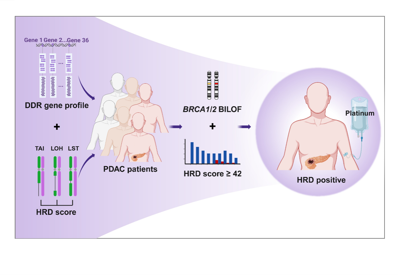 ��ҳ|ng������Ϸ�й����Źٷ���վ