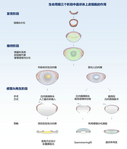 8980E4222144C91DDDD6808FBC7_9363523E_9269 8980E4222144C91DDDD6808FBC7_9363523E_9269