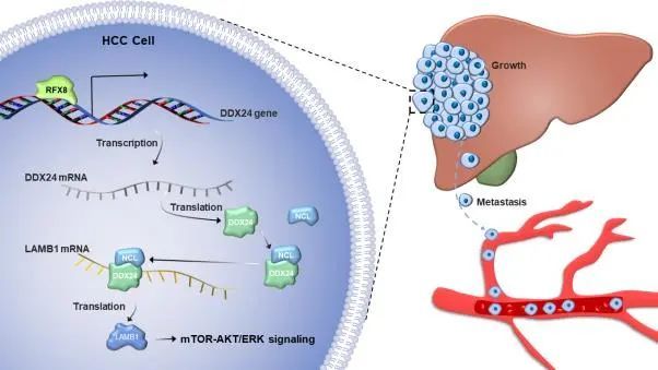 0EA06EA0AAAB6190DA409FF4738_4F2C20AB_7B26