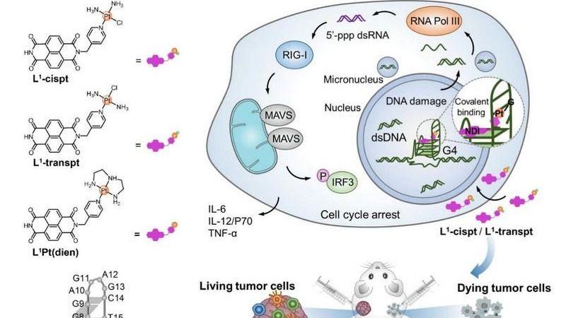 ��ҳ|ng������Ϸ�й����Źٷ���վ