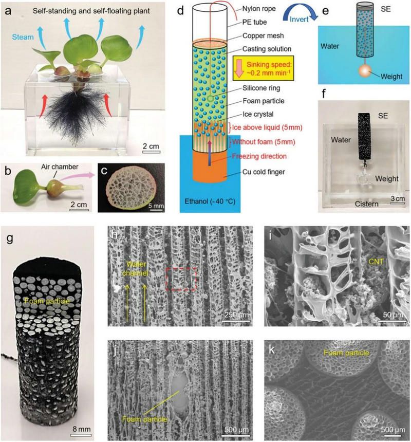 21969597D3192C69D7F2B0B6569_8A948F0C_20FDC 21969597D3192C69D7F2B0B6569_8A948F0C_20FDC