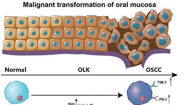 ��ҳ|ng������Ϸ�й����Źٷ���վ