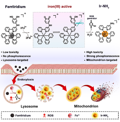 ��ҳ|ng������Ϸ�й����Źٷ���վ