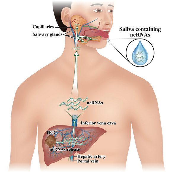 ��ҳ|ng������Ϸ�й����Źٷ���վ