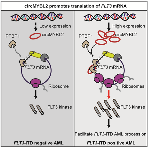 ��ҳ|ng������Ϸ�й����Źٷ���վ