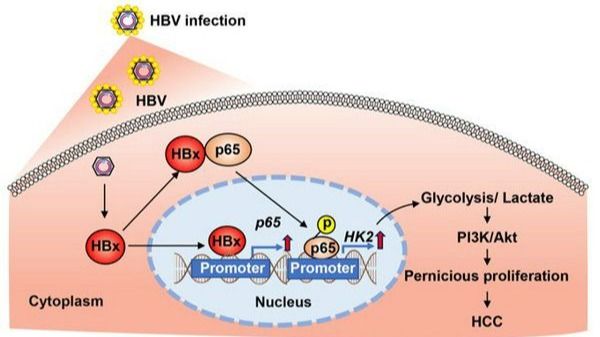 ��ҳ|ng������Ϸ�й����Źٷ���վ