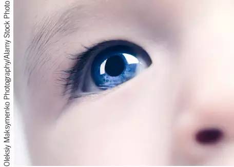 ��ҳ|ng������Ϸ�й����Źٷ���վ