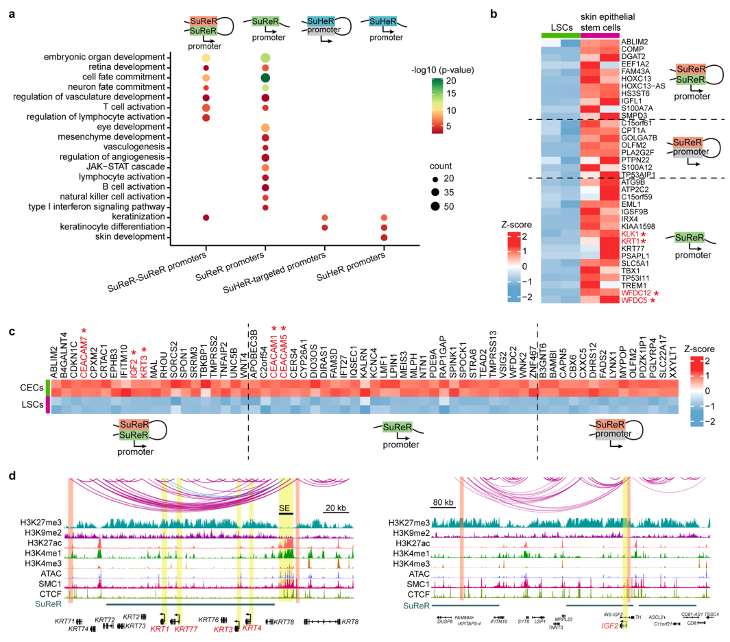 ��ҳ|ng������Ϸ�й����Źٷ���վ