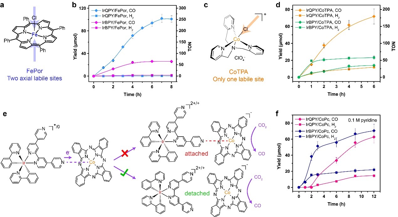 ��ҳ|ng������Ϸ�й����Źٷ���վ