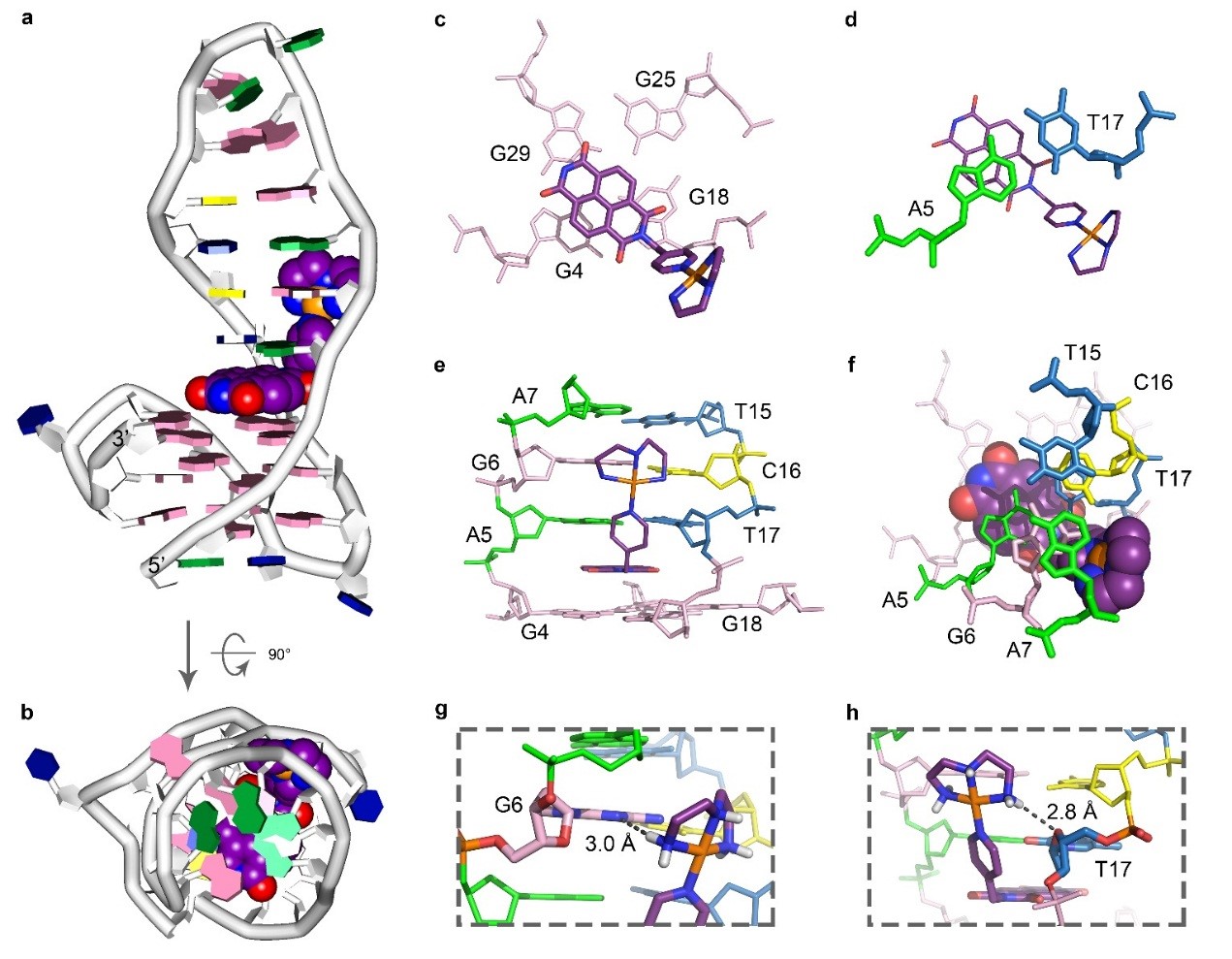 ��ҳ|ng������Ϸ�й����Źٷ���վ