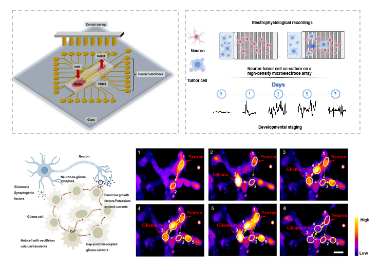 67833AF3DF2D3339117A53D8242_DD19C951_3872F