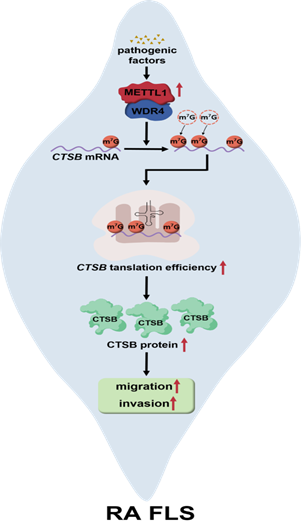 ��ҳ|ng������Ϸ�й����Źٷ���վ