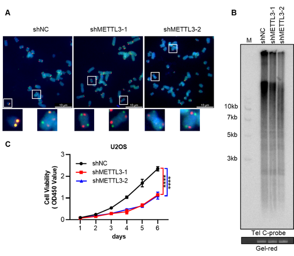 88926442418DE0B1F20A13A7D25_FBCC15A8_334DC