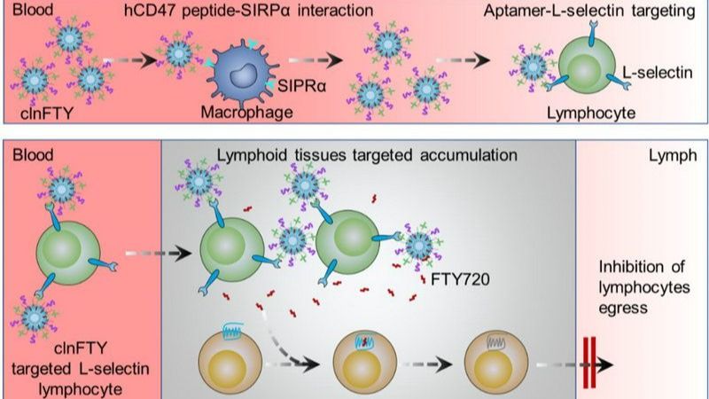 ��ҳ|ng������Ϸ�й����Źٷ���վ