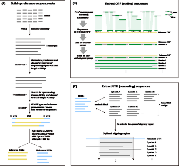 87952D6851F9D0BFAB445590FAC_4BC5EEA2_1929E