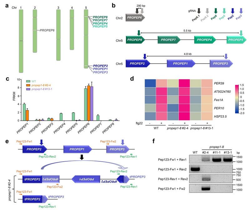 A1E7B5449EC63279AEBA6E5A17F_AEC1593F_124A0