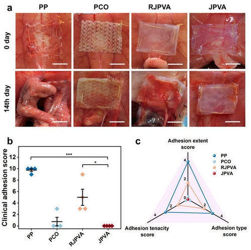 358642D46C1894A1036FDBE7DFD_60AE88EB_F6D7.jpg?e= Ê×Ò³|ngµç×ÓÓÎÏ·Öйú¼¯ÍŹٷ½ÍøÕ¾